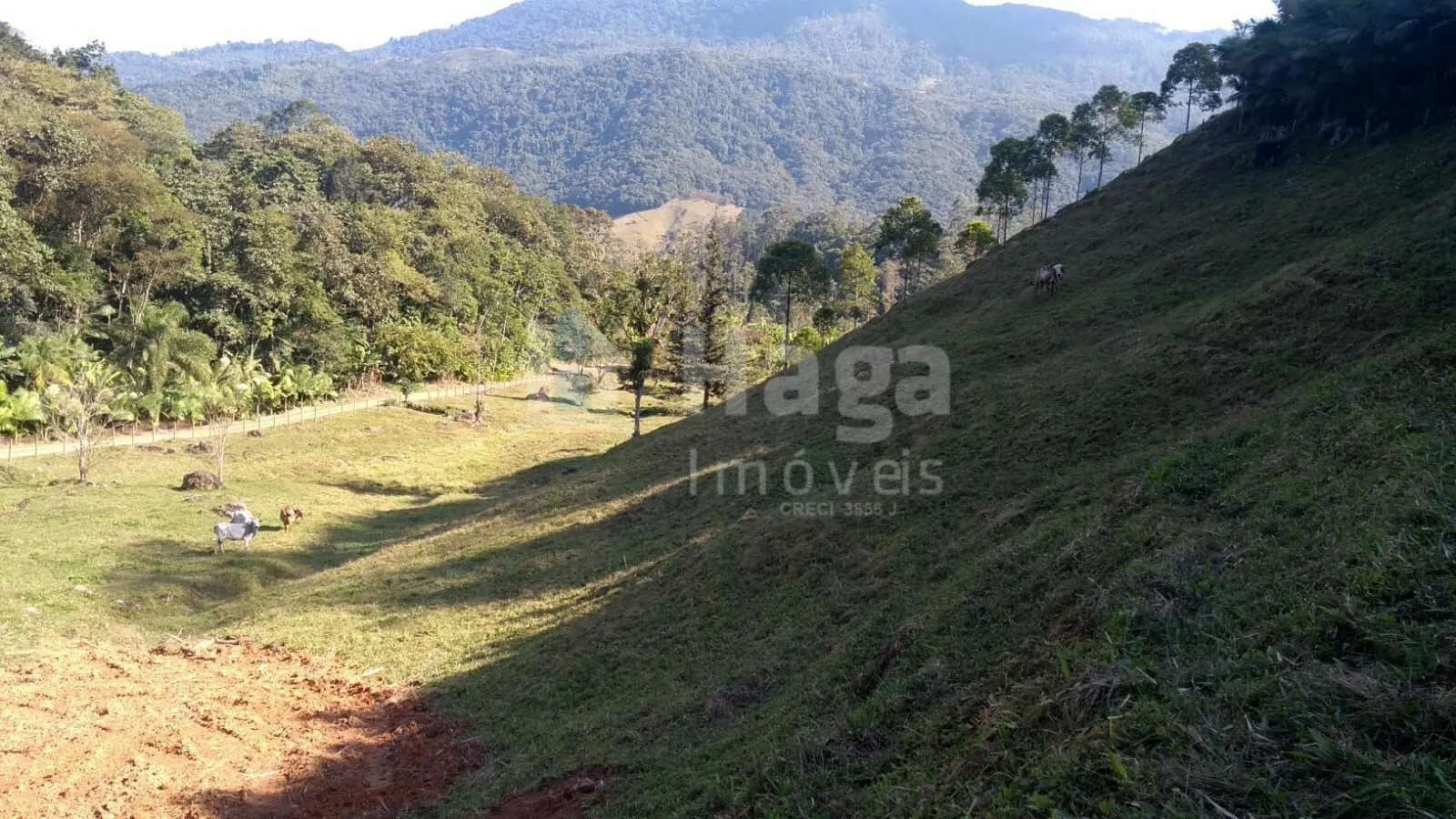 Fazenda à venda de 2 ha em Pomerode, SC, Brasil