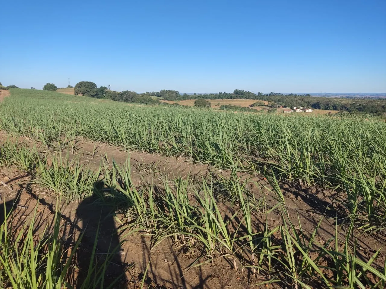 Fazenda à venda de 288 ha em Capela do Alto, SP, Brasil