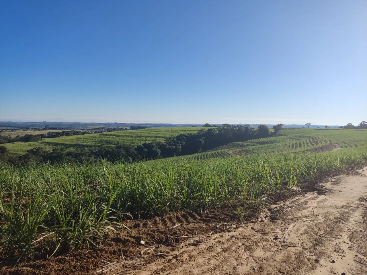 Fazenda à venda de 288 ha em Capela do Alto, SP, Brasil