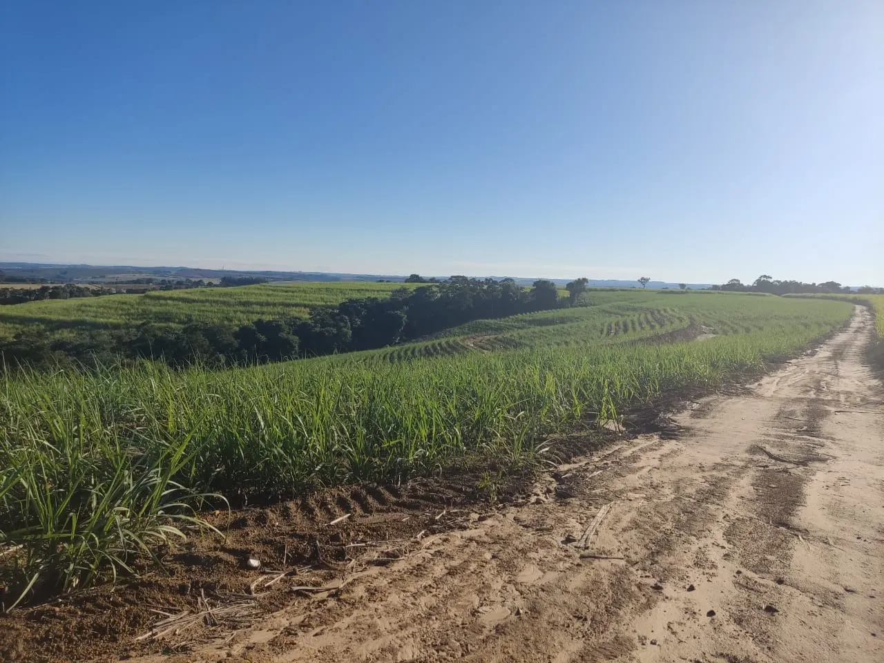 Fazenda à venda de 288 ha em Capela do Alto, SP, Brasil