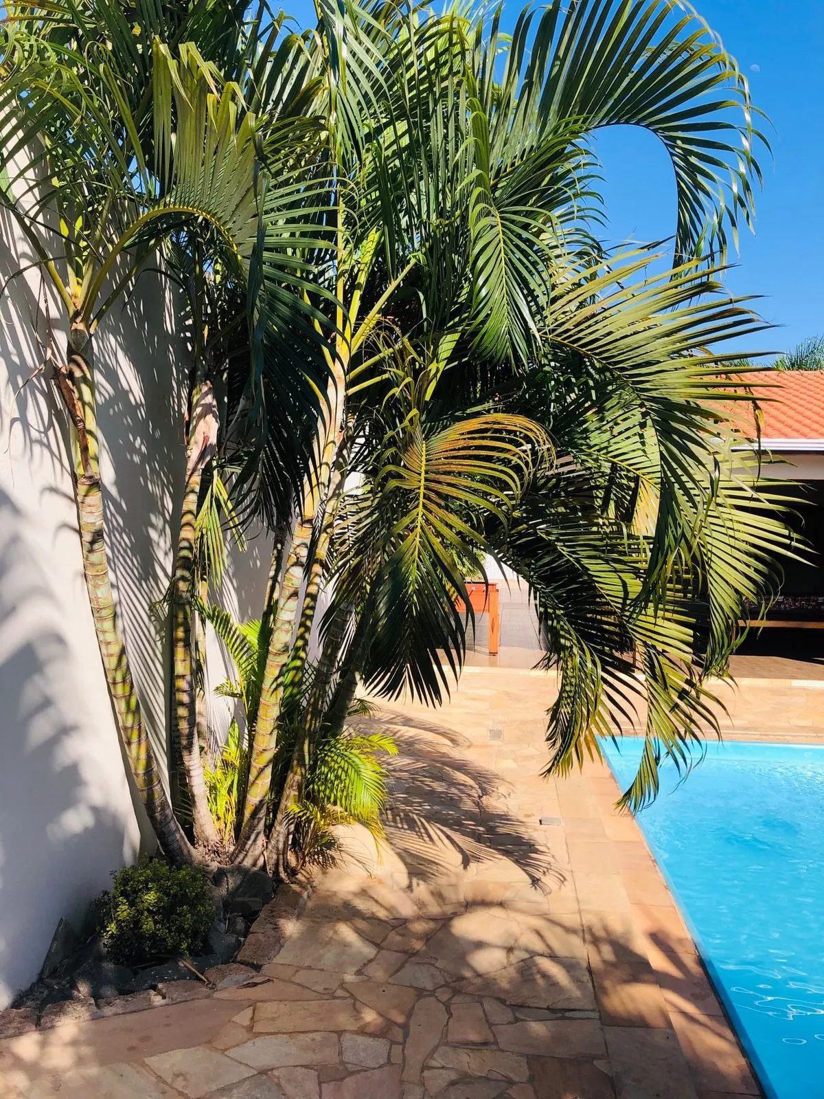 Chácara à venda de 500 m² em Limeira, SP, Brasil