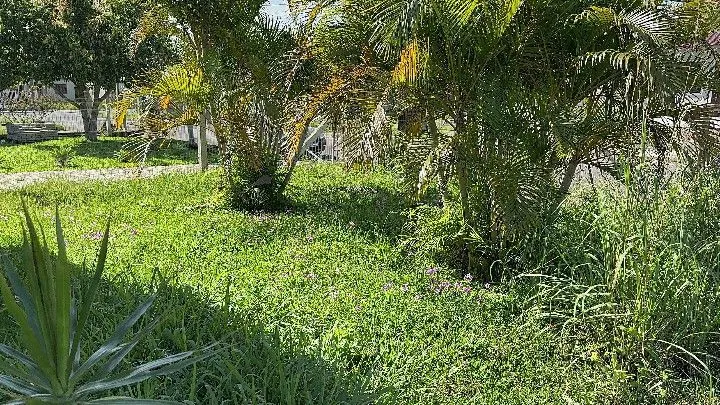Chácara à venda de 275 m² em Santo Antônio da Patrulha, RS, Brasil