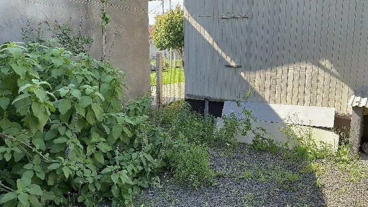 Chácara à venda de 275 m² em Santo Antônio da Patrulha, RS, Brasil