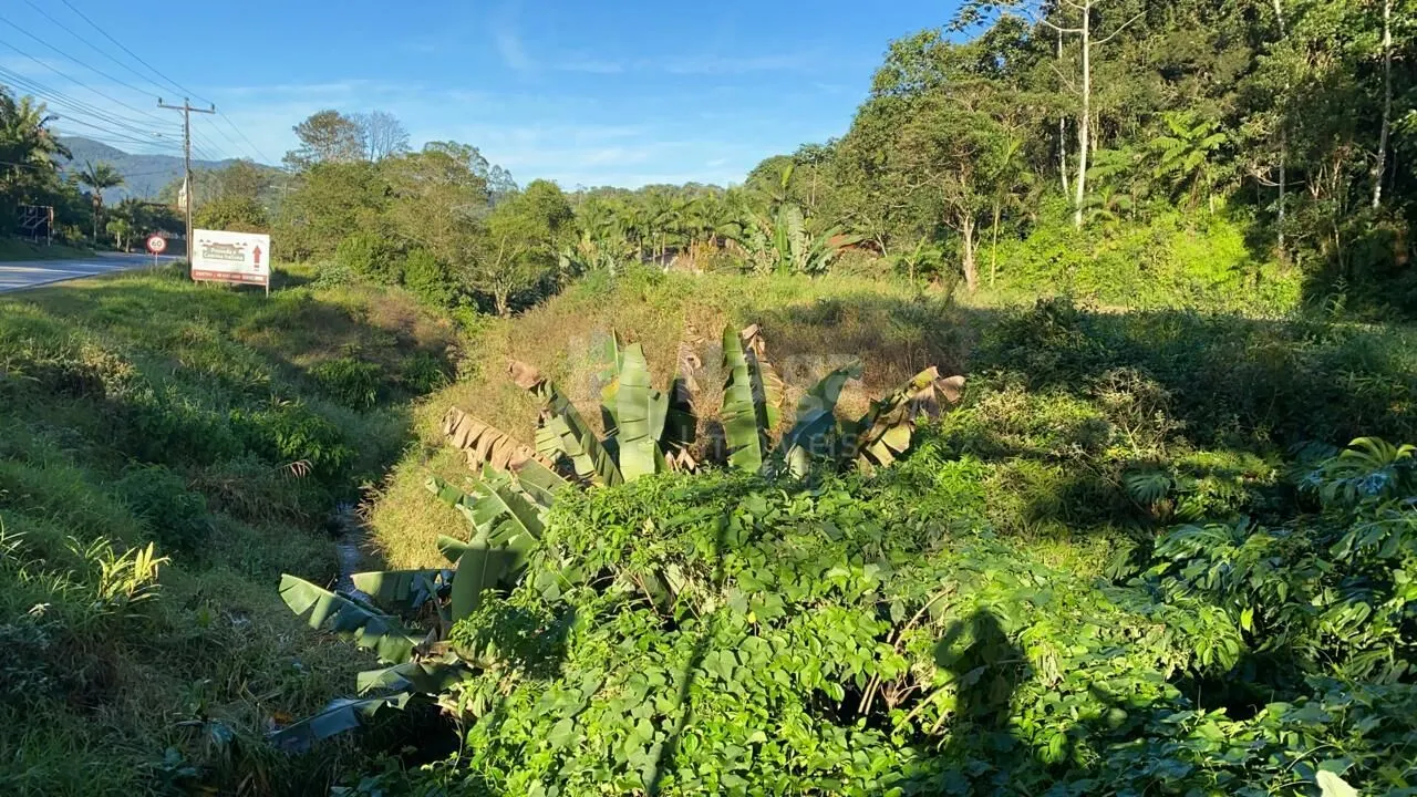 Terreno à venda de 2 ha em Nova Trento, SC, Brasil