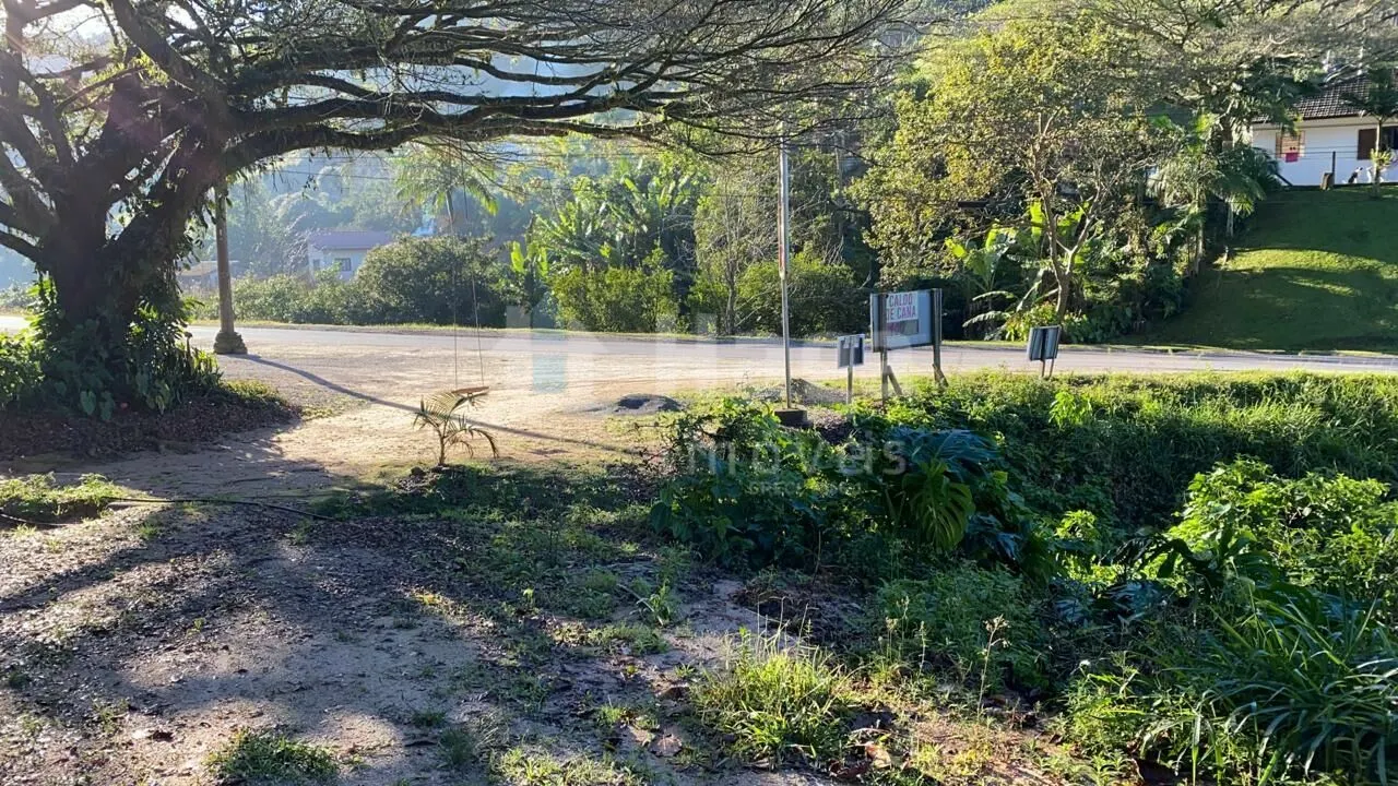 Terreno à venda de 2 ha em Nova Trento, SC, Brasil