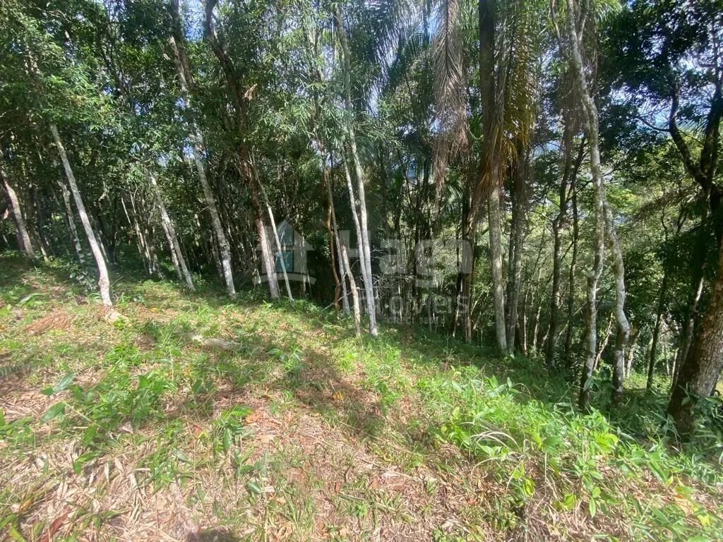 Fazenda à venda e para Arrendar de 1 ha em São João Batista, SC, Brasil