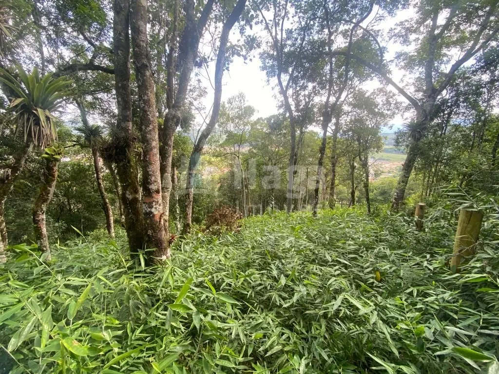 Fazenda à venda e para Arrendar de 1 ha em São João Batista, SC, Brasil