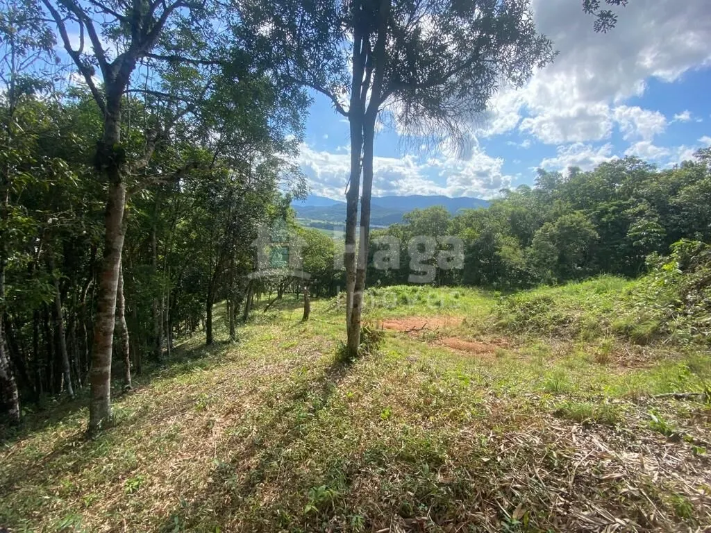 Fazenda à venda e para Arrendar de 1 ha em São João Batista, SC, Brasil