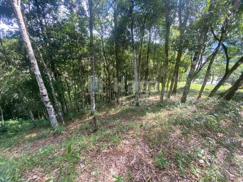 Fazenda à venda e para Arrendar de 1 ha em São João Batista, SC, Brasil