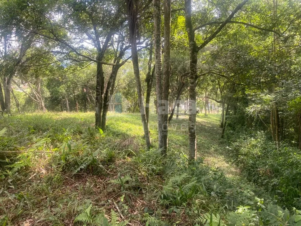 Fazenda à venda e para Arrendar de 1 ha em São João Batista, SC, Brasil
