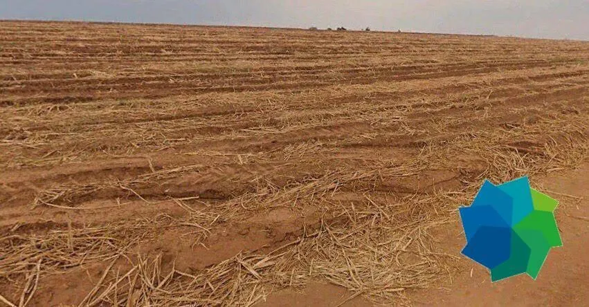 Fazenda à venda de 387 ha em Porto Feliz, SP, Brasil