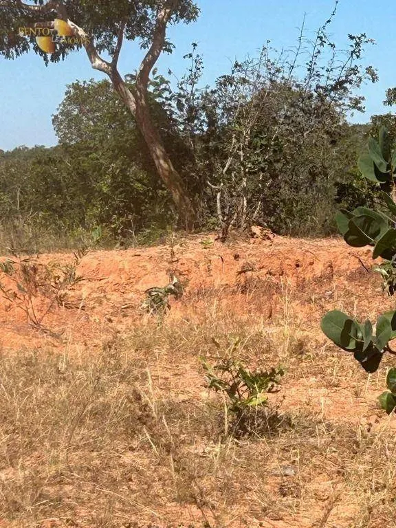 Fazenda à venda de 4.950 ha em Barra do Garças, MT, Brasil