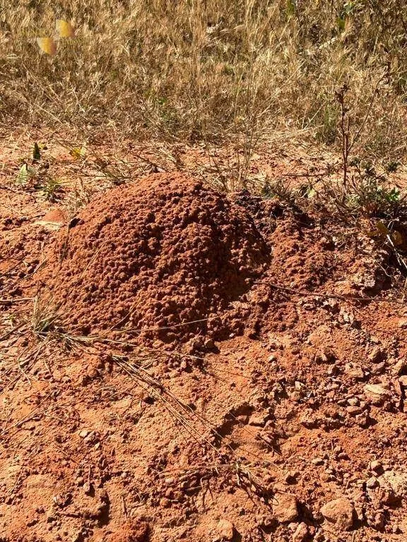 Fazenda à venda de 4.950 ha em Barra do Garças, MT, Brasil