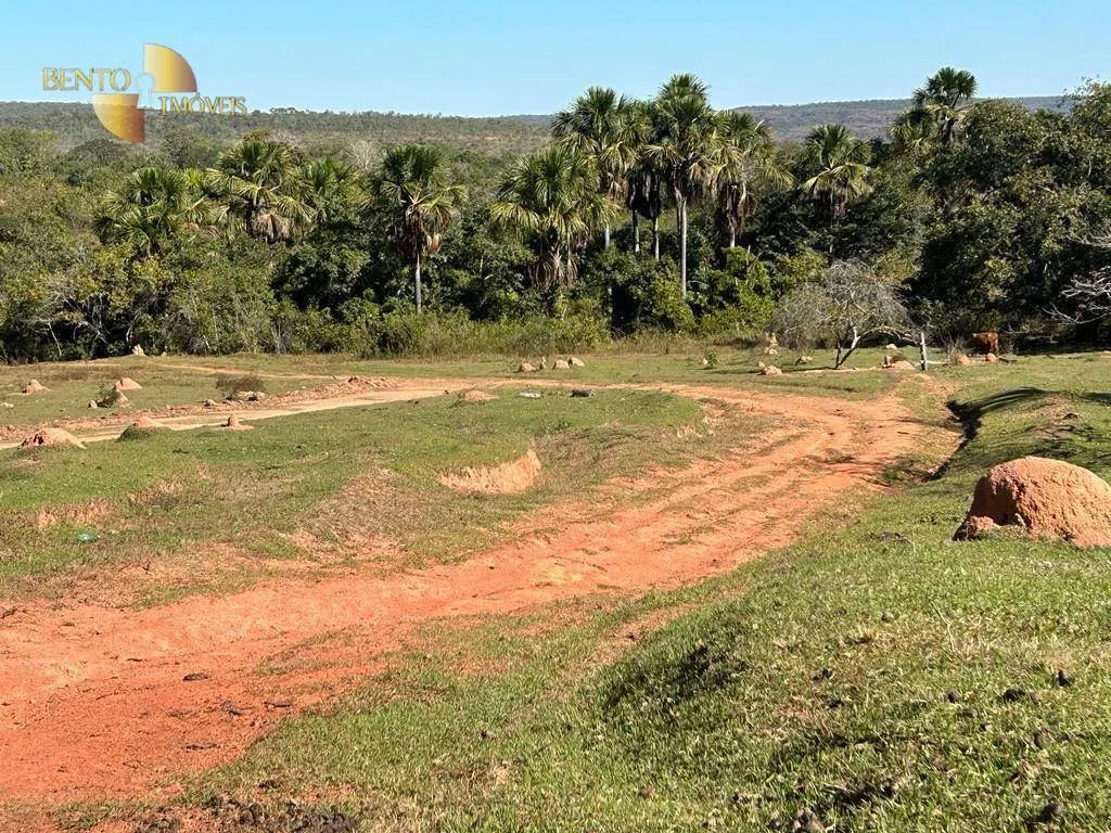 Fazenda à venda de 4.950 ha em Barra do Garças, MT, Brasil