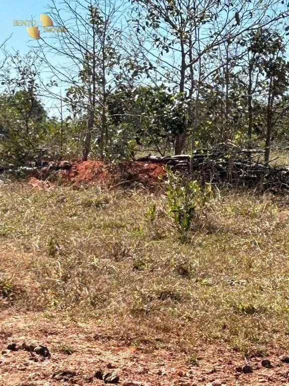 Fazenda à venda de 4.950 ha em Barra do Garças, MT, Brasil