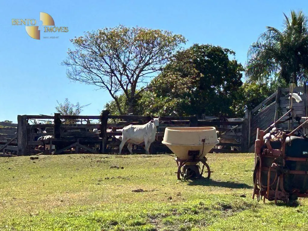 Fazenda à venda de 4.950 ha em Barra do Garças, MT, Brasil