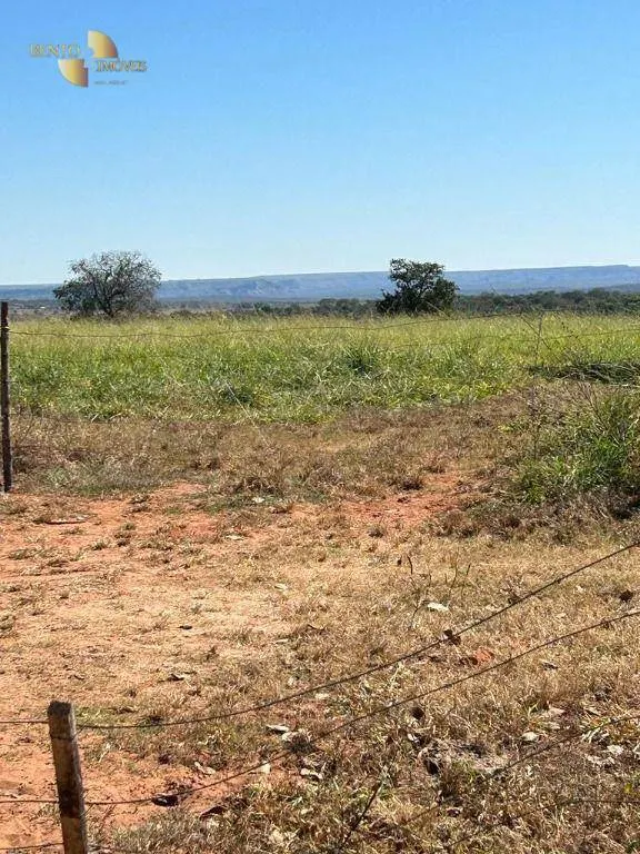 Fazenda à venda de 4.950 ha em Barra do Garças, MT, Brasil