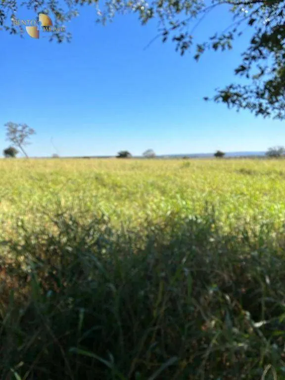 Fazenda à venda de 4.950 ha em Barra do Garças, MT, Brasil