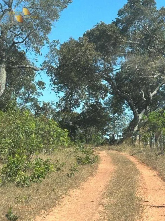 Fazenda à venda de 4.950 ha em Barra do Garças, MT, Brasil