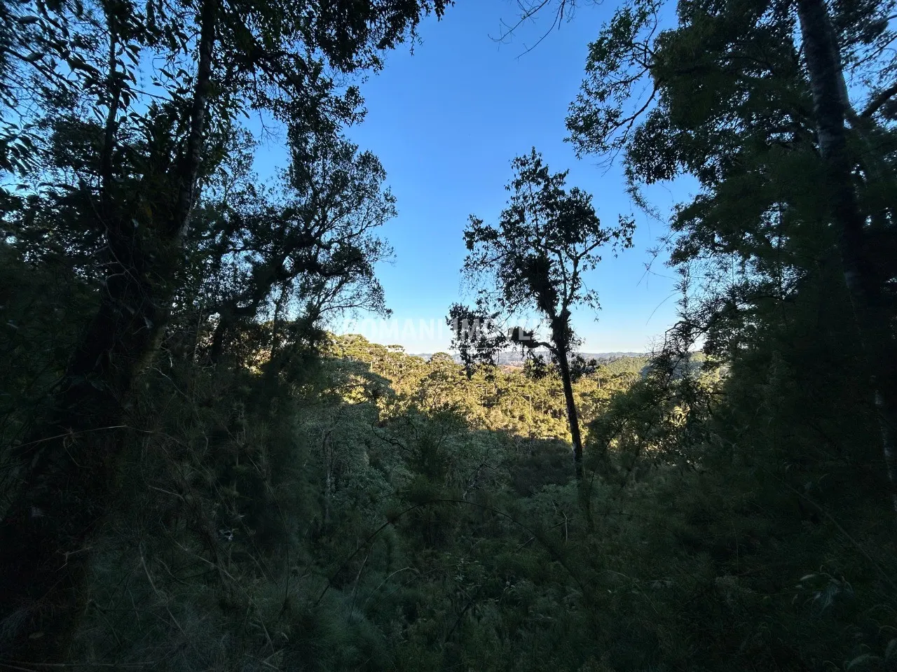 Terreno à venda de 1.535 m² em Campos do Jordão, SP, Brasil