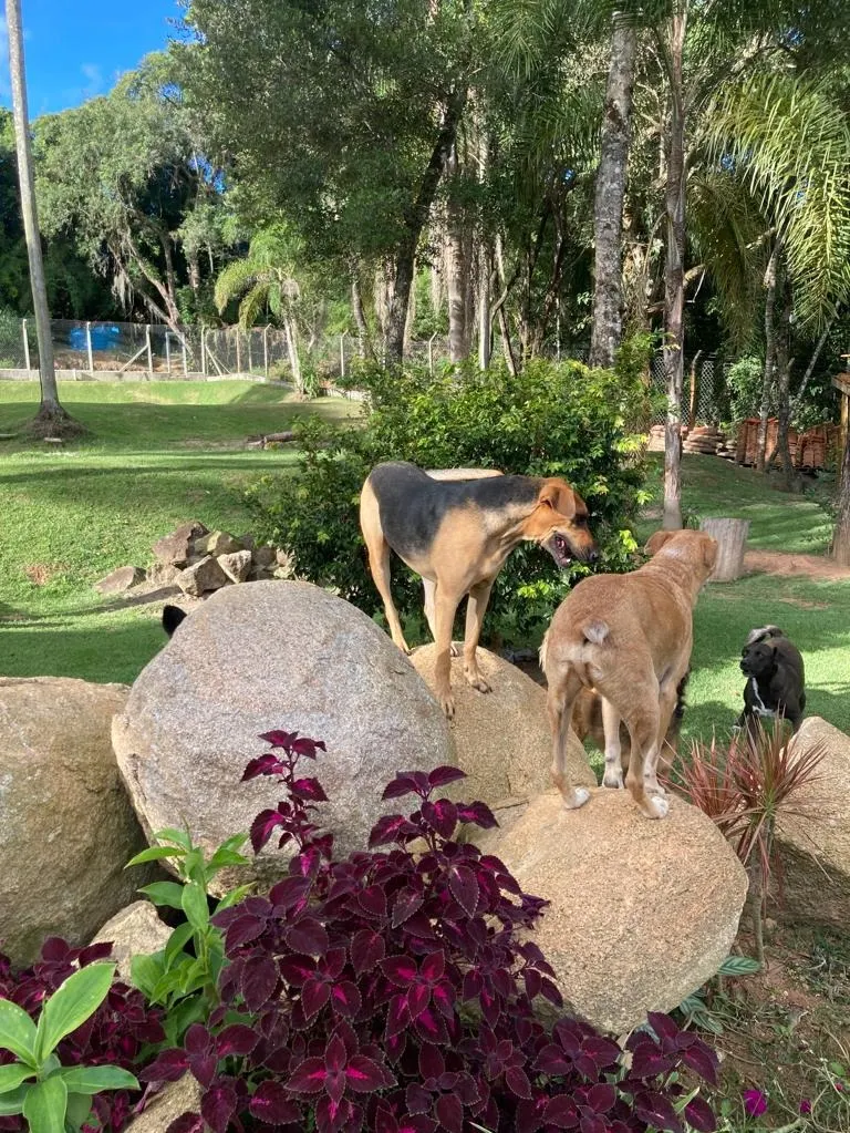 Country home for sale of 2,730 m² in Ibiúna, SP, Brazil