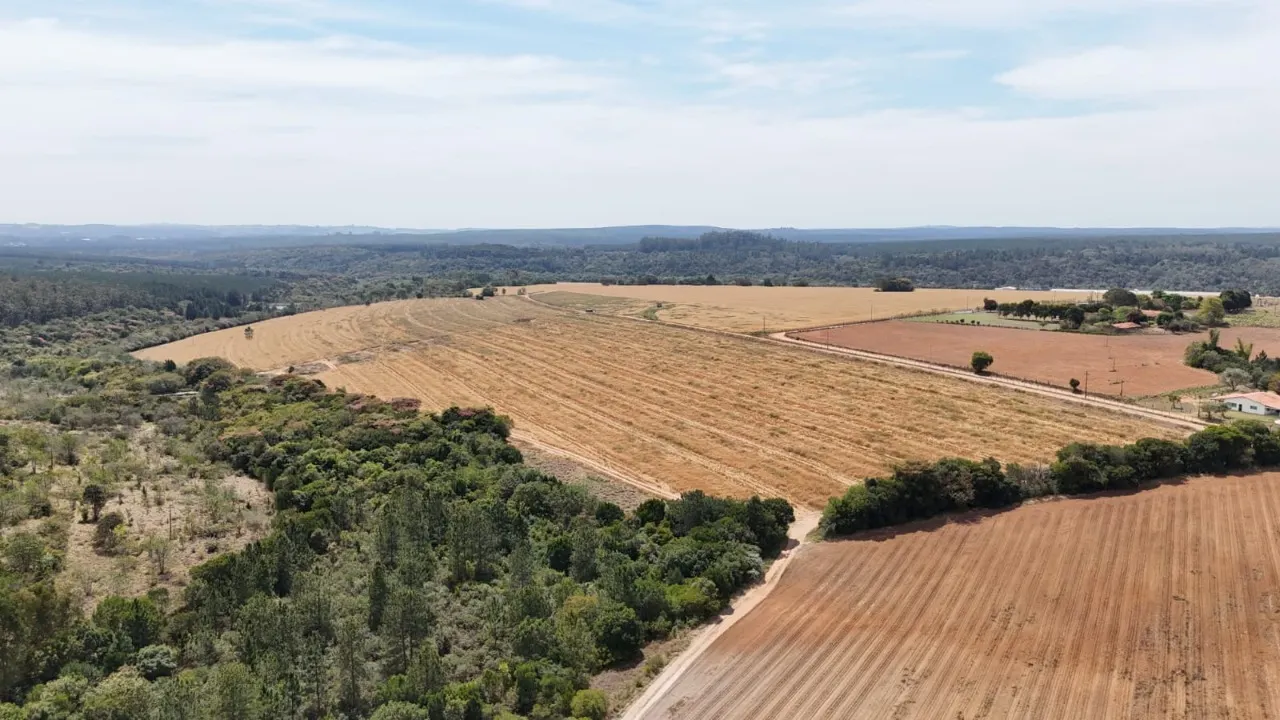 Fazenda à venda de 128 ha em Itapetininga, SP, Brasil
