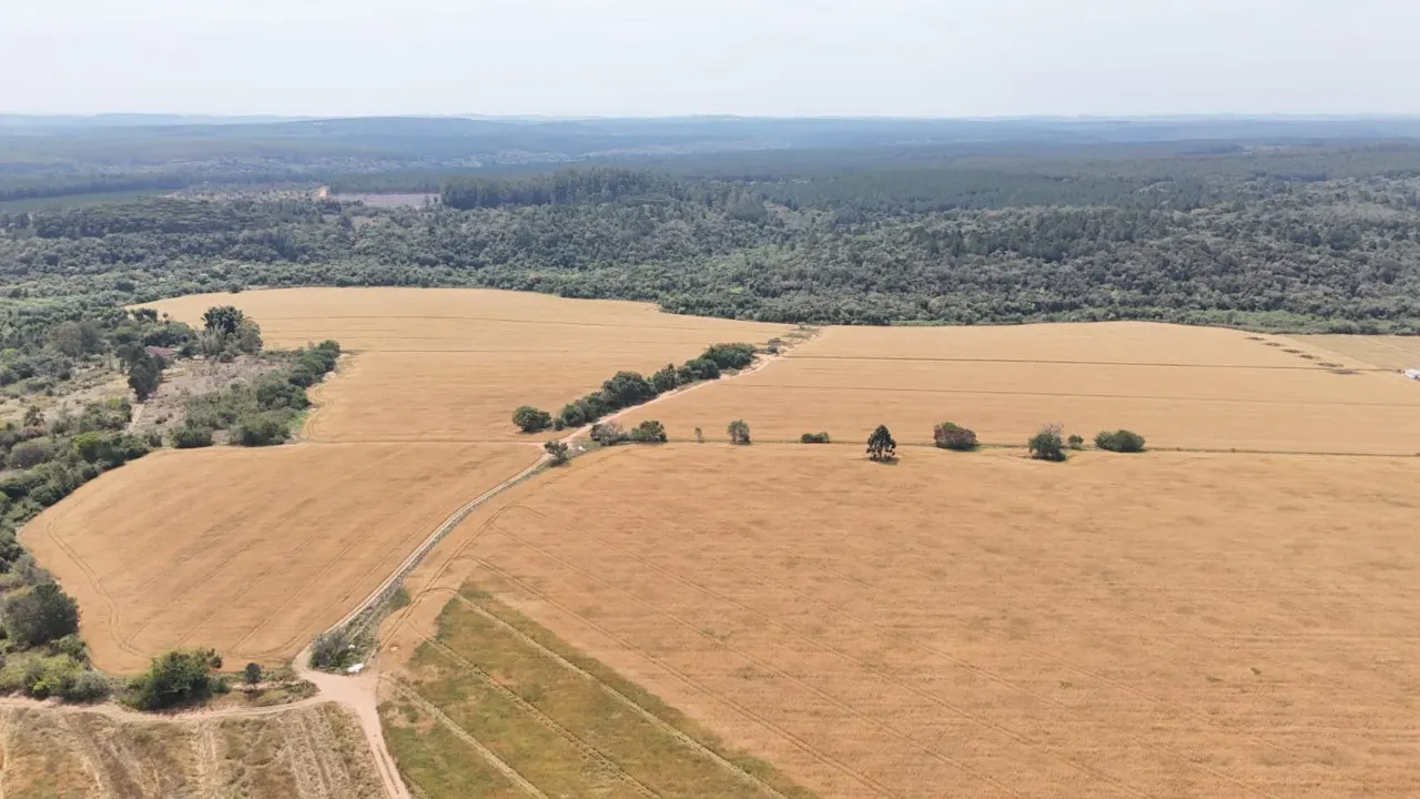Fazenda à venda de 128 ha em Itapetininga, SP, Brasil