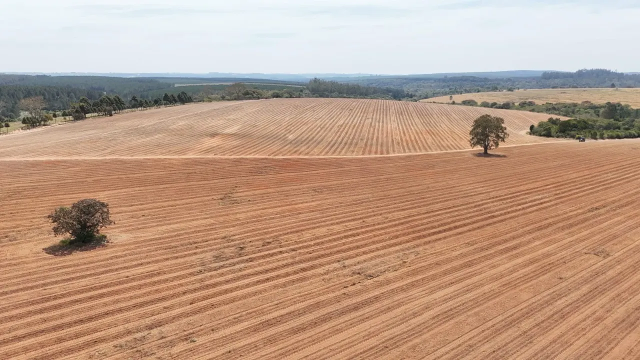 Fazenda à venda de 128 ha em Itapetininga, SP, Brasil