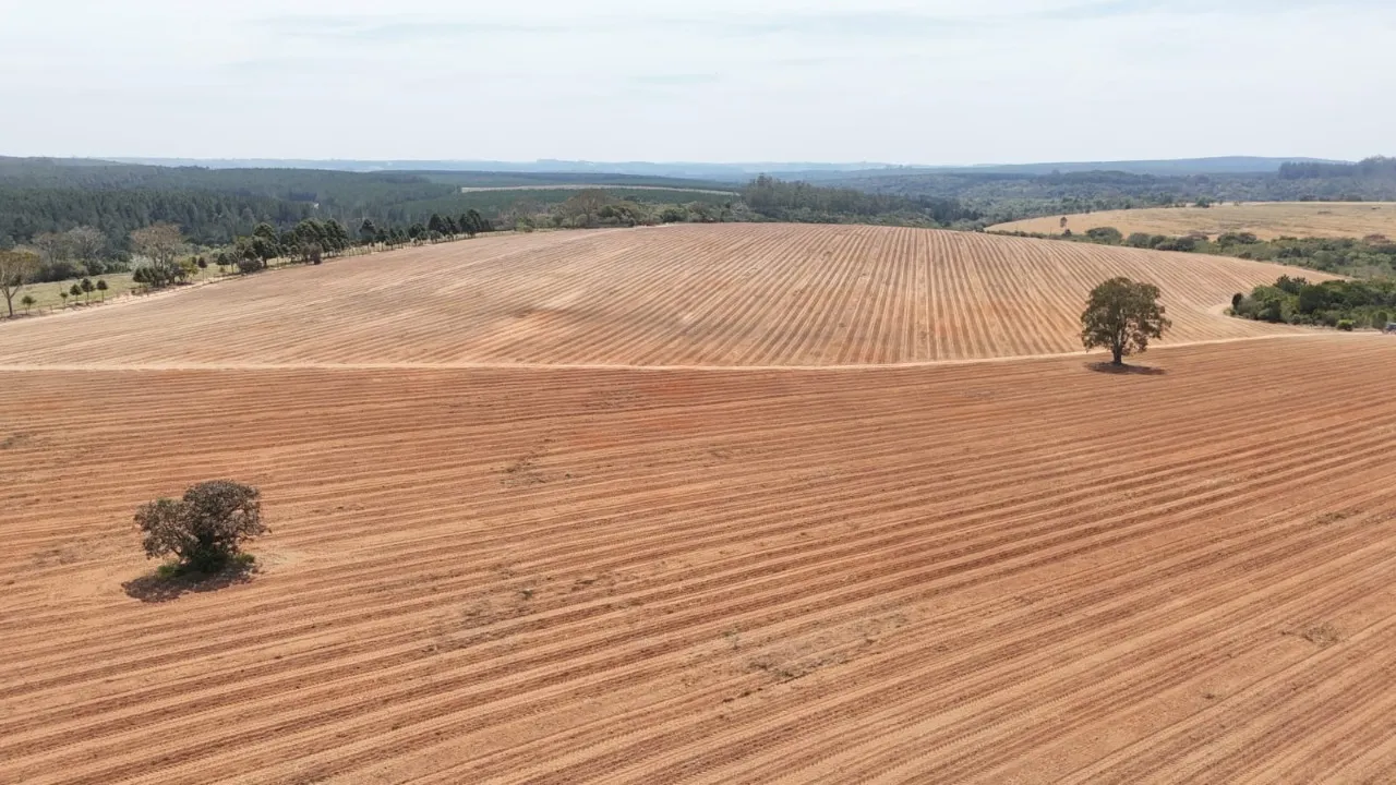 Fazenda à venda de 128 ha em Itapetininga, SP, Brasil