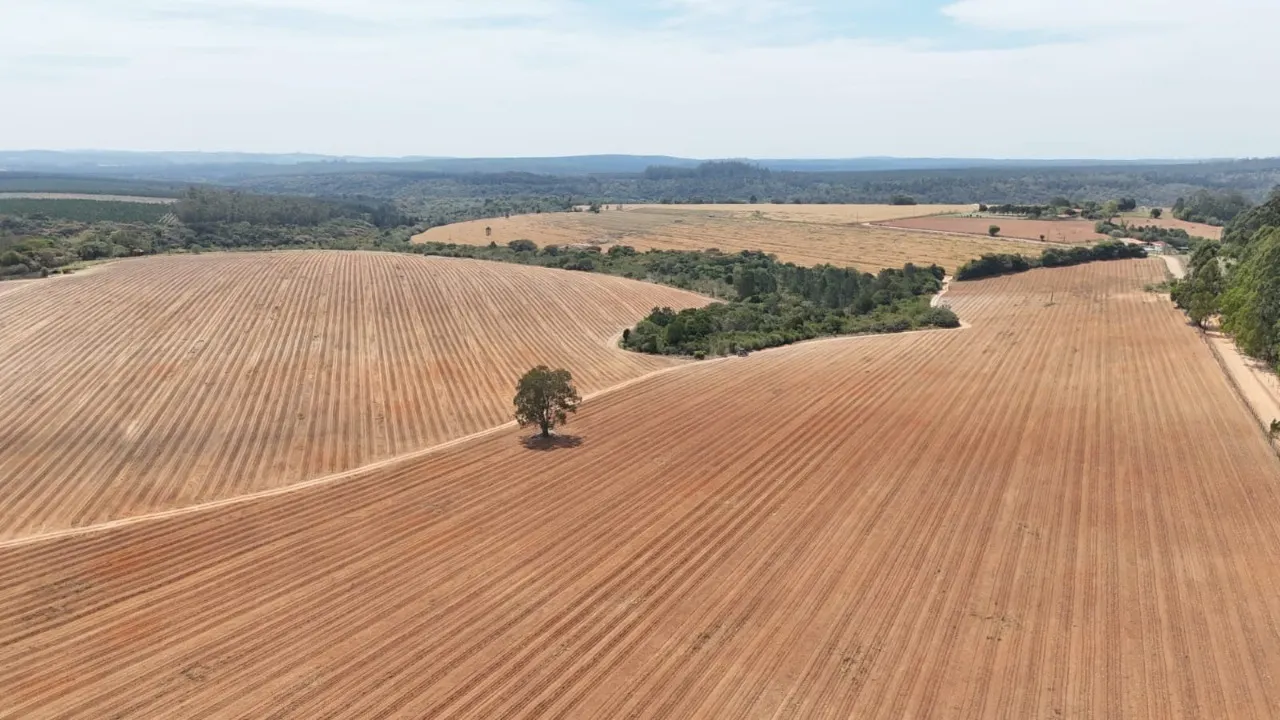 Fazenda à venda de 128 ha em Itapetininga, SP, Brasil