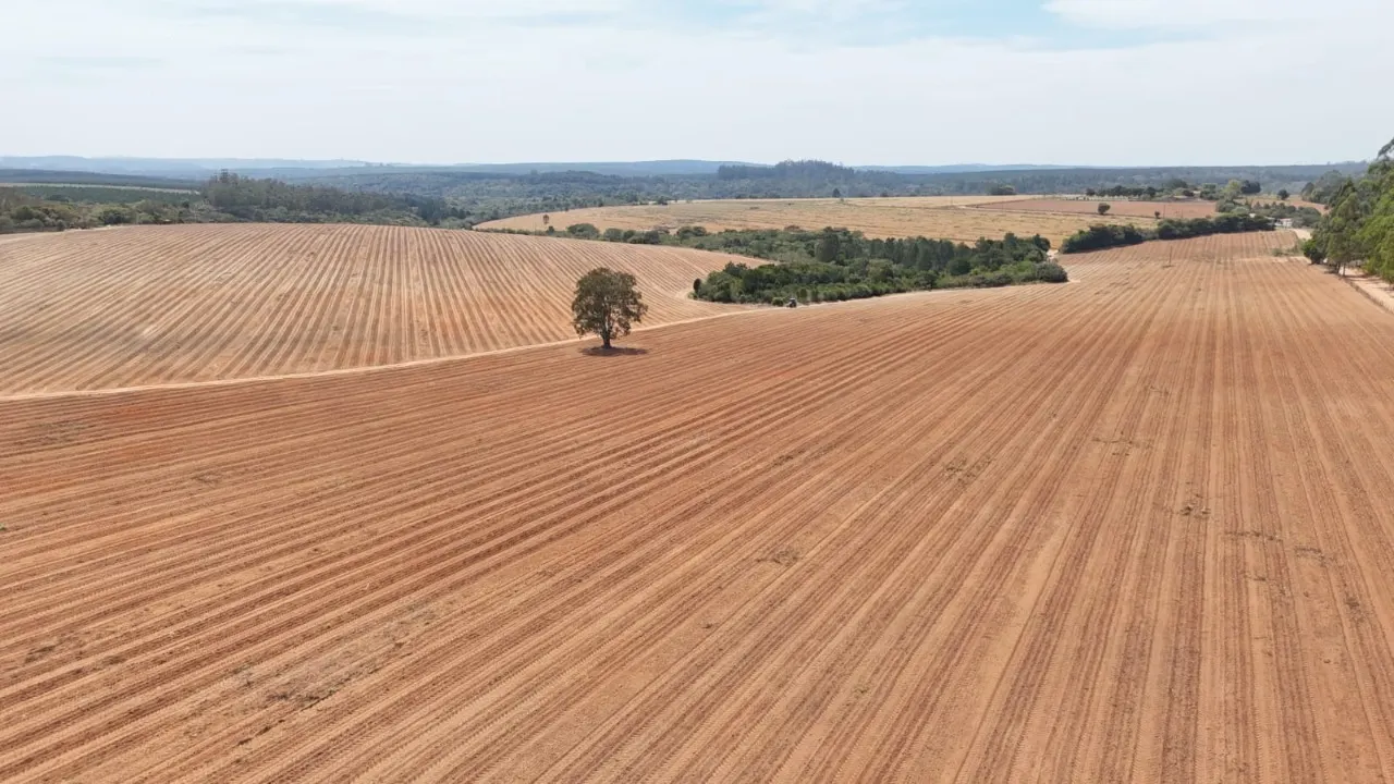 Fazenda à venda de 128 ha em Itapetininga, SP, Brasil