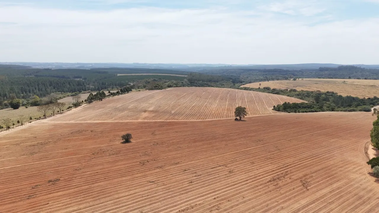Fazenda à venda de 128 ha em Itapetininga, SP, Brasil