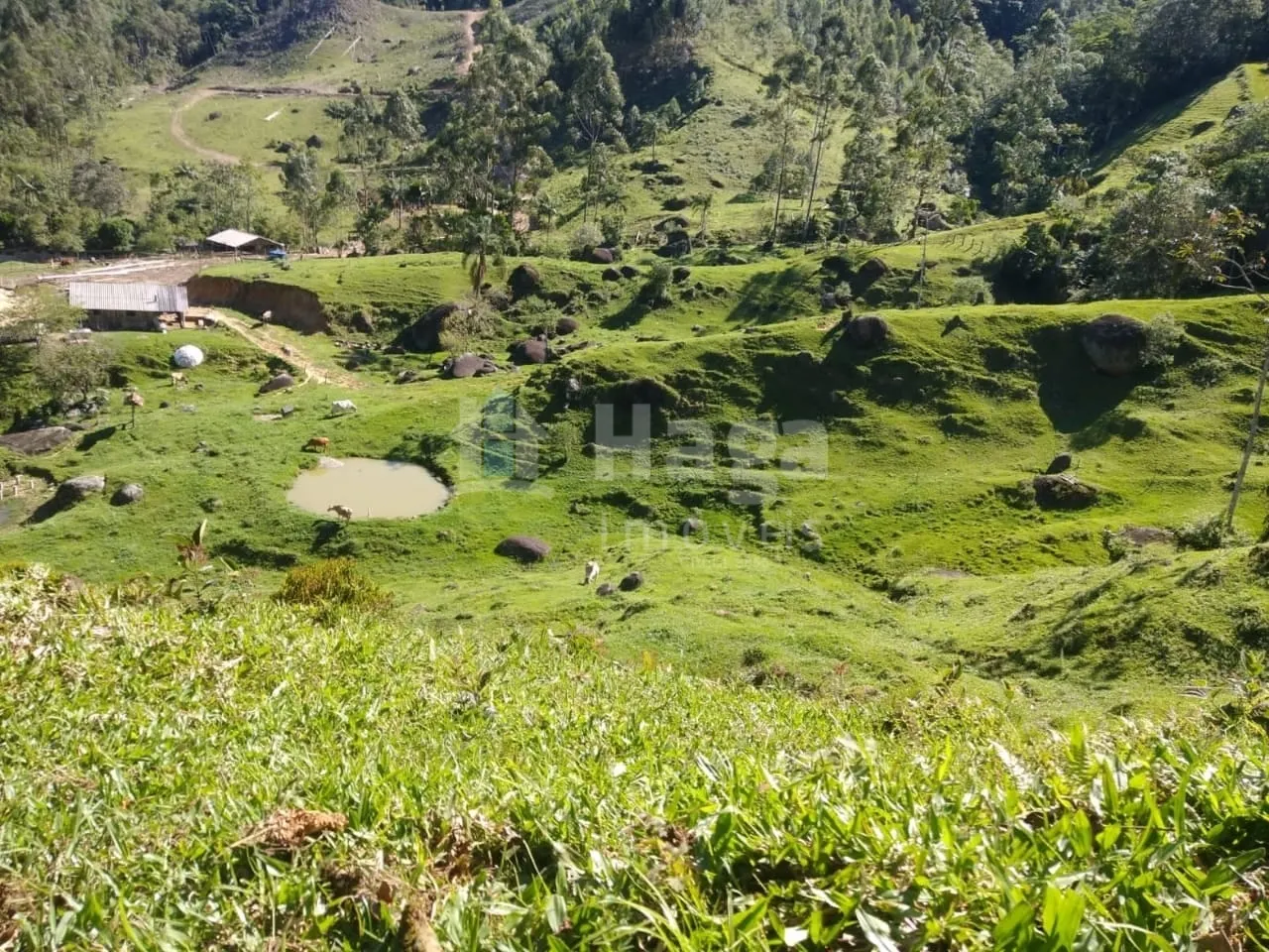 Chácara à venda de 70 ha em Major Gercino, SC, Brasil