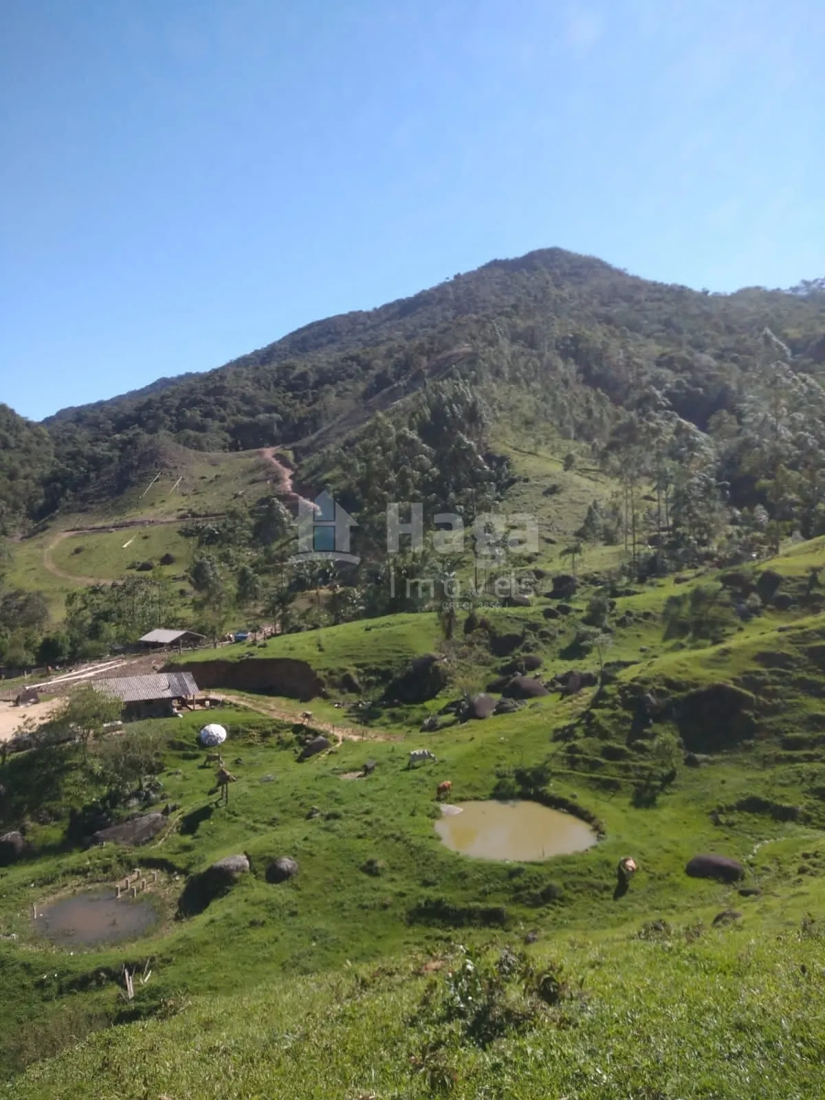 Chácara à venda de 70 ha em Major Gercino, SC, Brasil
