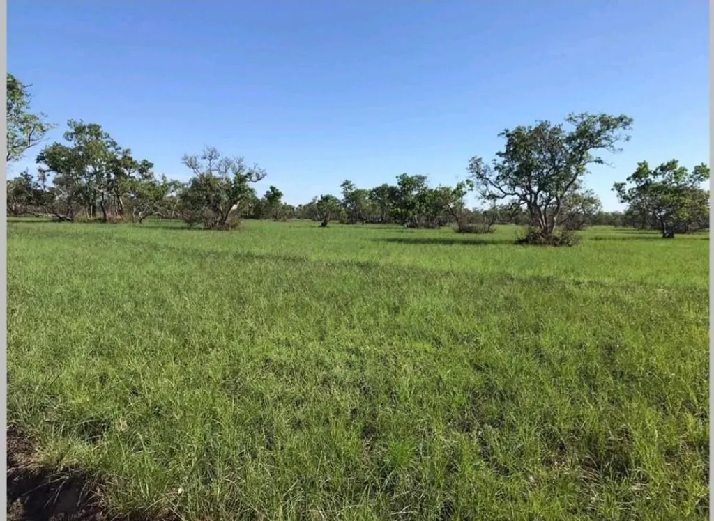 Fazenda à venda de 18.700 ha em Poconé, MT, Brasil
