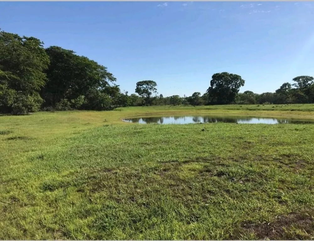 Fazenda à venda de 18.700 ha em Poconé, MT, Brasil