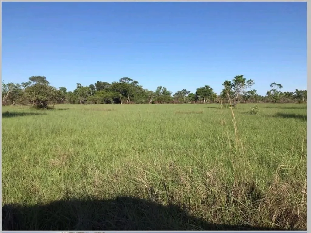 Fazenda à venda de 18.700 ha em Poconé, MT, Brasil
