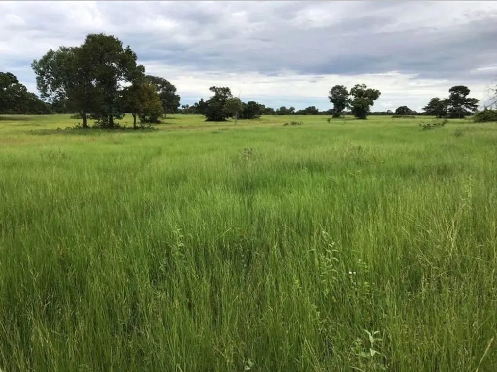 Fazenda à venda de 18.700 ha em Poconé, MT, Brasil