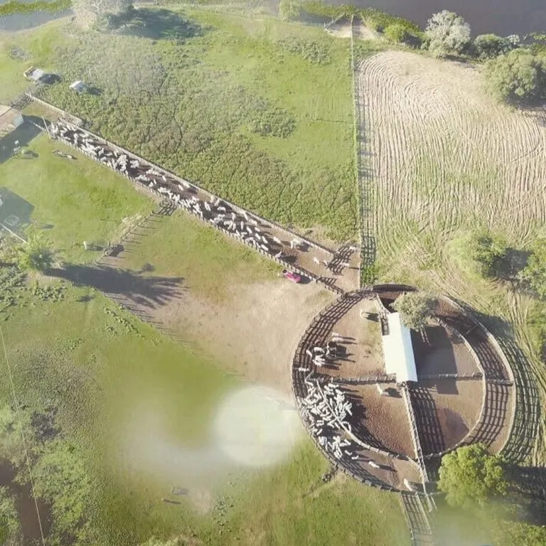 Fazenda à venda de 18.700 ha em Poconé, MT, Brasil