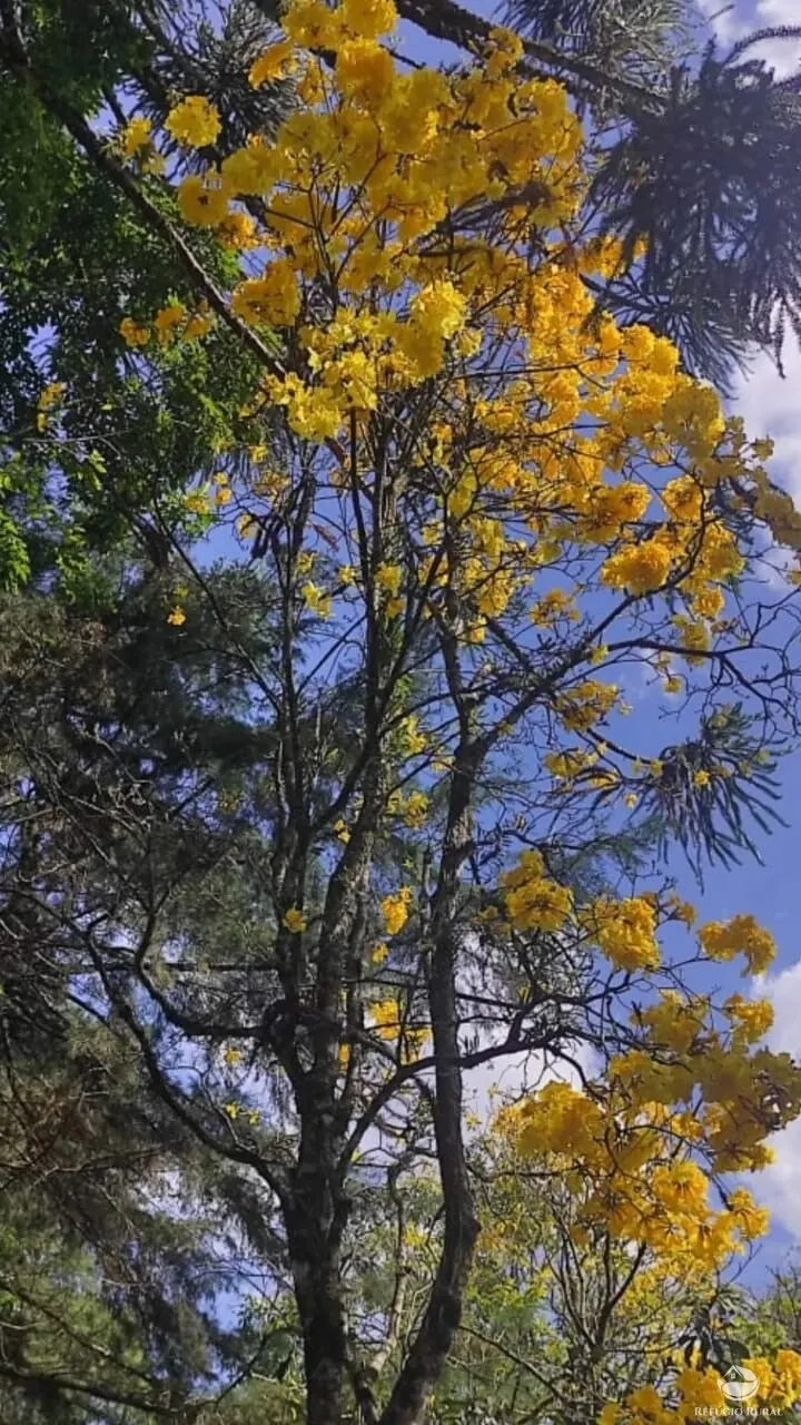 Sítio à venda de 8 ha em São José dos Campos, SP, Brasil
