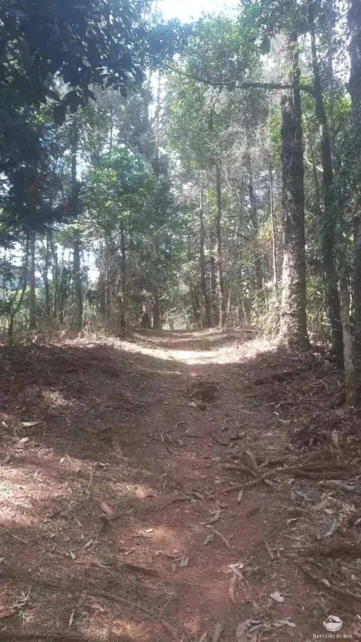 Sítio à venda de 8 ha em São José dos Campos, SP, Brasil