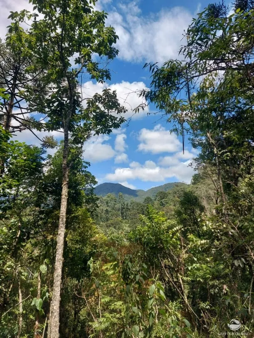 Sítio à venda de 8 ha em São José dos Campos, SP, Brasil