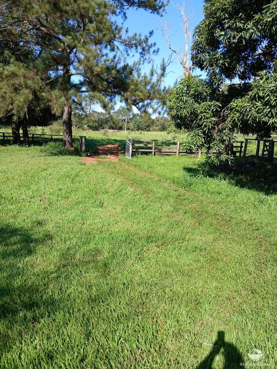 Fazenda à venda de 250 ha em Três Marias, MG, Brasil