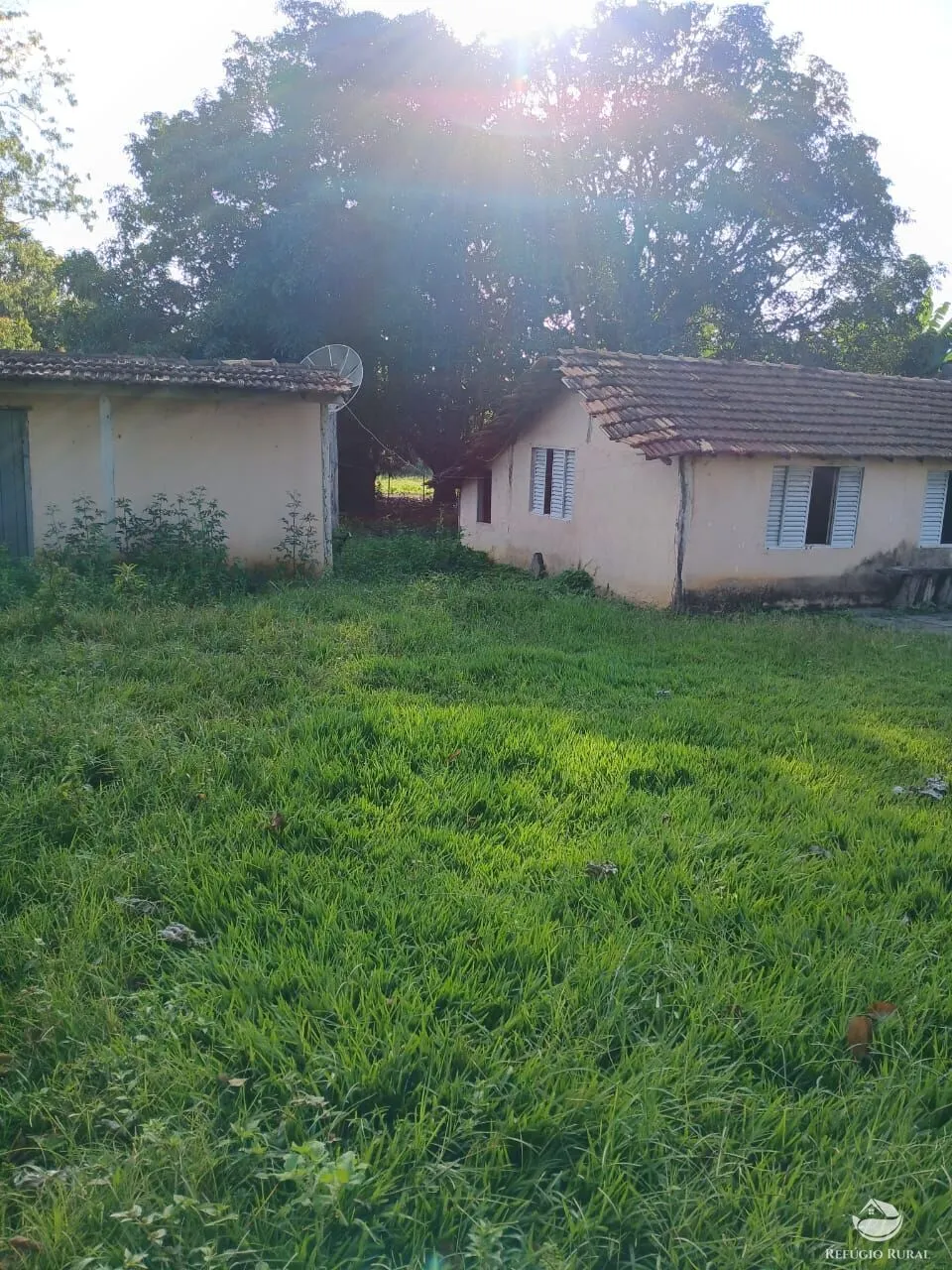 Fazenda à venda de 250 ha em Três Marias, MG, Brasil
