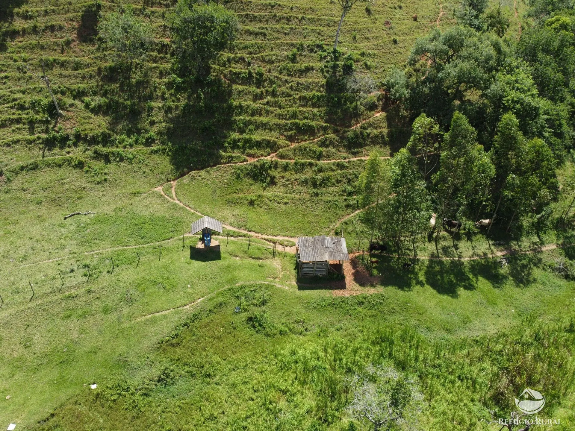 Small farm for sale of 10 acres in São José dos Campos, SP, Brazil