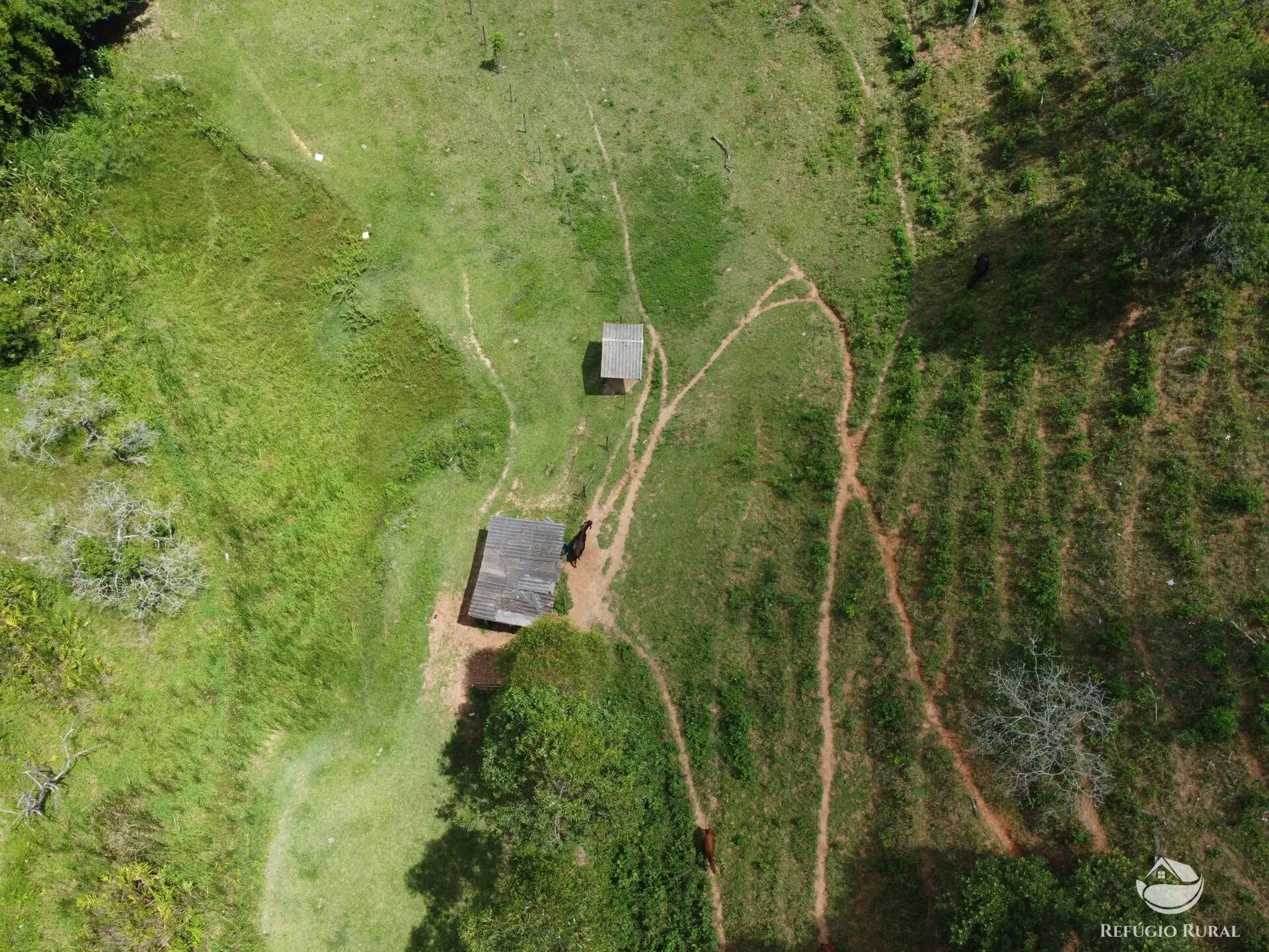 Small farm for sale of 10 acres in São José dos Campos, SP, Brazil