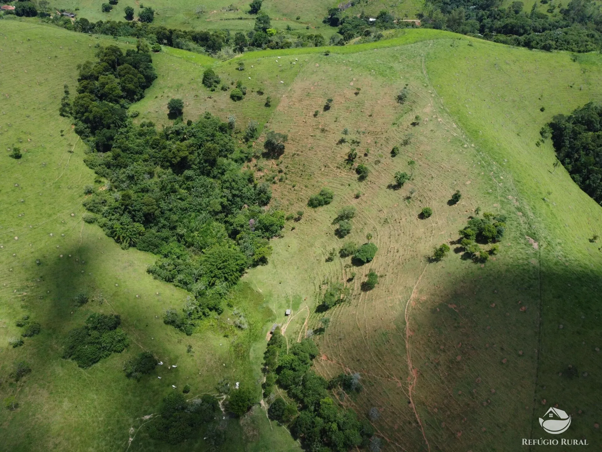 Small farm for sale of 10 acres in São José dos Campos, SP, Brazil