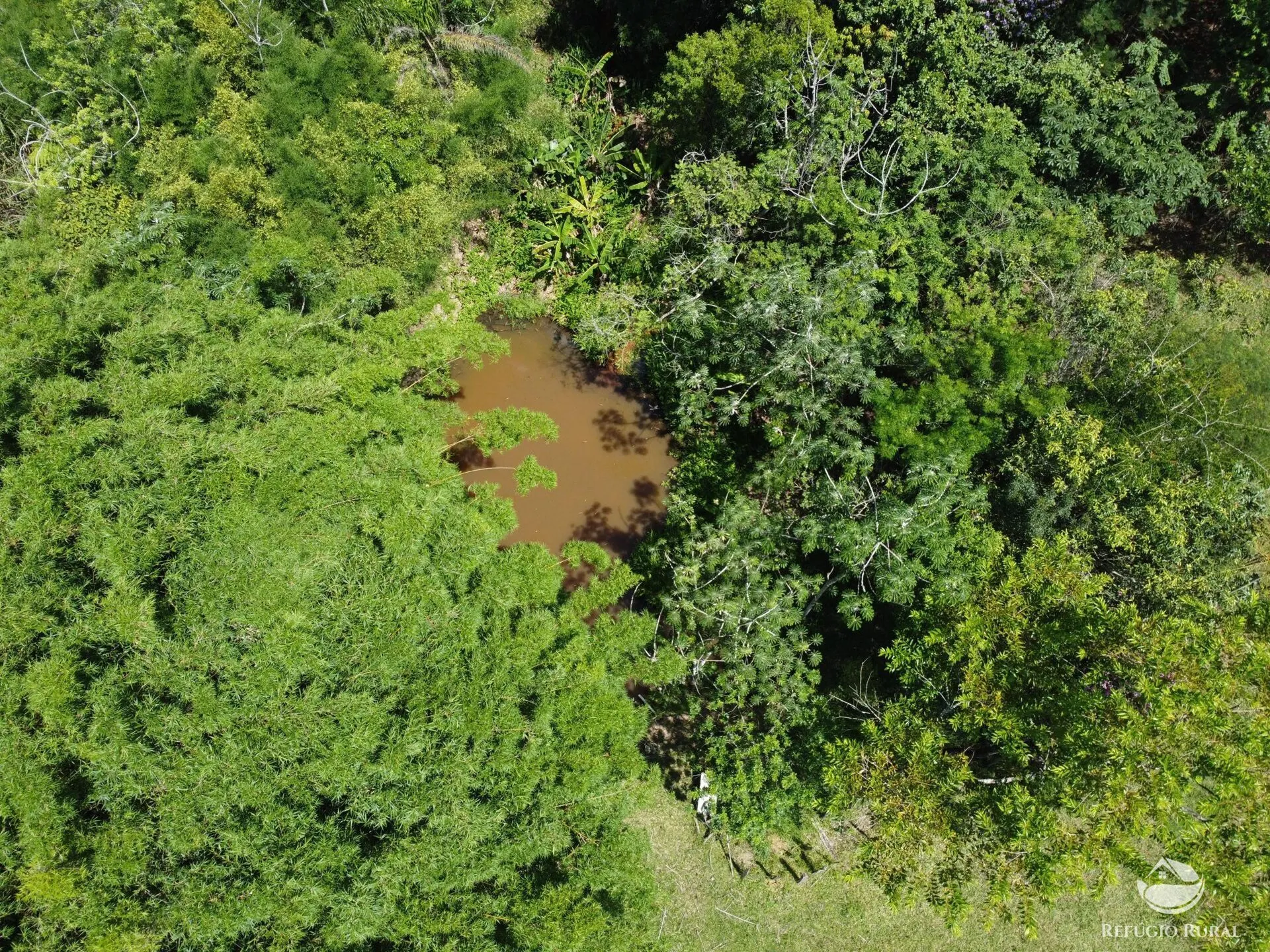 Small farm for sale of 10 acres in São José dos Campos, SP, Brazil