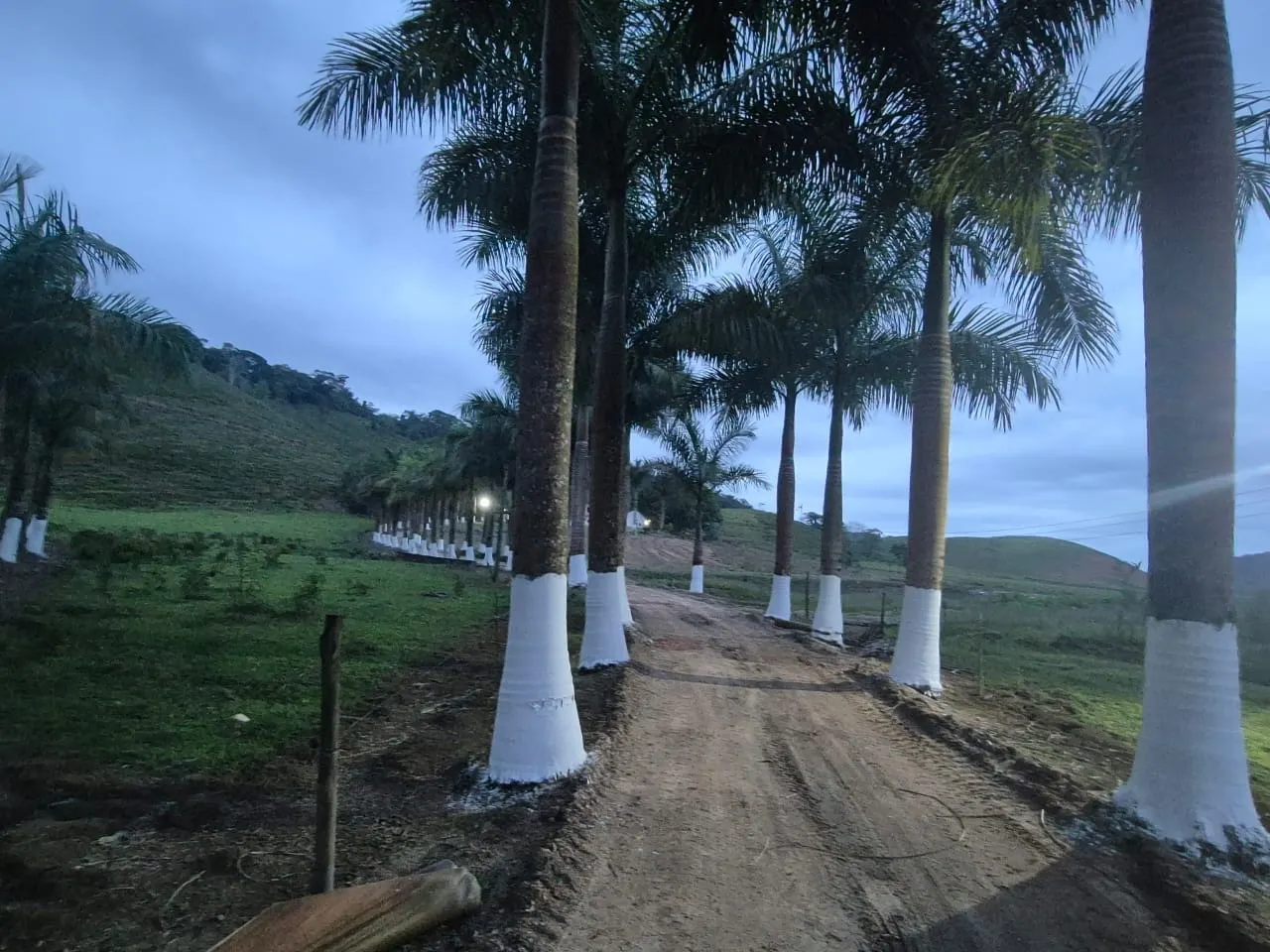 Fazenda à venda de 421 ha em Registro, SP, Brasil