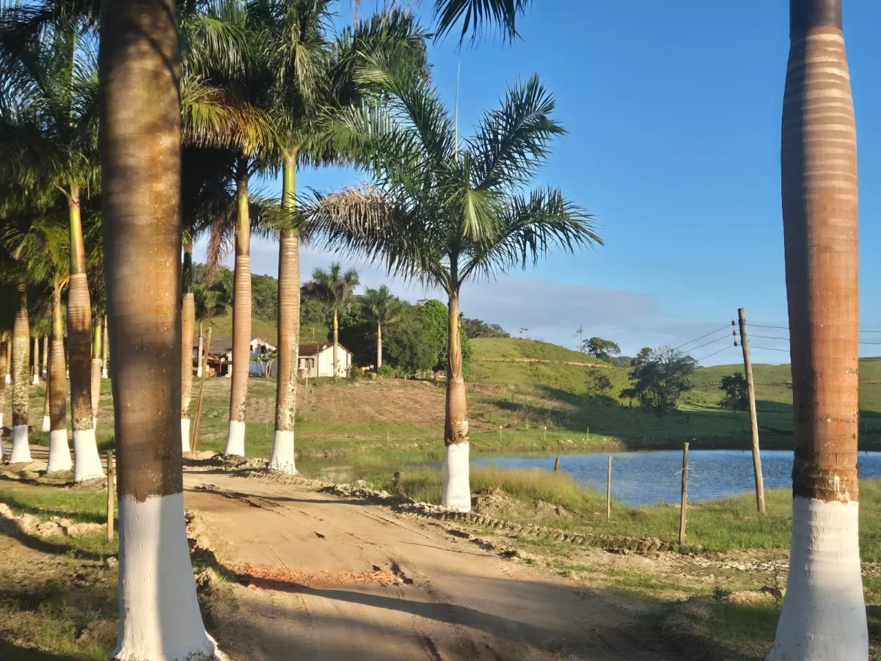 Fazenda à venda de 421 ha em Registro, SP, Brasil